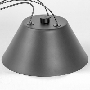 Подвесная люстра Lussole Hopkins LSP-7408 в Сургуте - surgut.ok-mebel.com | фото 7