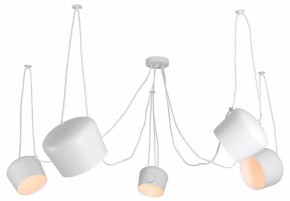 Подвесная люстра Lussole Shirley LSP-8175 в Сургуте - surgut.ok-mebel.com | фото