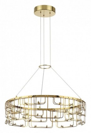 Подвесная люстра Odeon Light ZAHA 7060/44L в Сургуте - surgut.ok-mebel.com | фото 2
