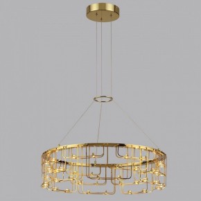 Подвесная люстра Odeon Light ZAHA 7060/44L в Сургуте - surgut.ok-mebel.com | фото 3