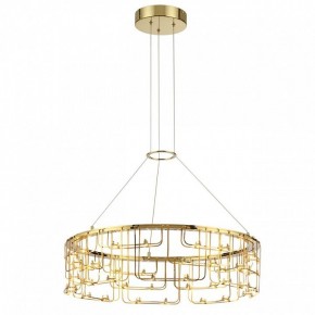 Подвесная люстра Odeon Light ZAHA 7060/44L в Сургуте - surgut.ok-mebel.com | фото 4