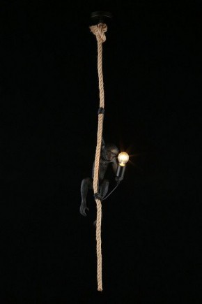 Подвесной светильник Aployt Magali APL.309.16.01 в Сургуте - surgut.ok-mebel.com | фото 3