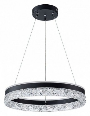 Подвесной светильник Arte Lamp Apollo A2549SP-75BK в Сургуте - surgut.ok-mebel.com | фото 2