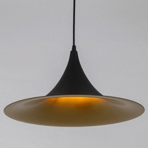 Подвесной светильник Arte Lamp Carmel A7080SP-1BK в Сургуте - surgut.ok-mebel.com | фото