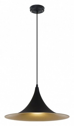 Подвесной светильник Arte Lamp Carmel A7080SP-1BK в Сургуте - surgut.ok-mebel.com | фото 2