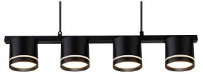 Подвесной светильник Arte Lamp Legacy A8024SP-4BK в Сургуте - surgut.ok-mebel.com | фото