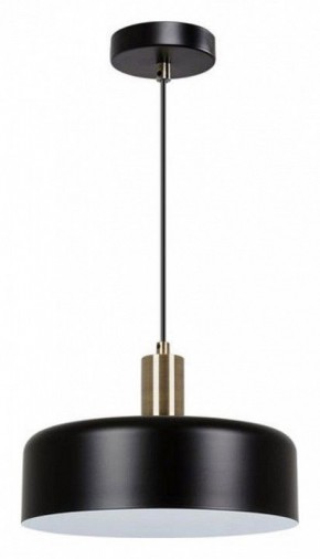 Подвесной светильник Arte Lamp Skat A7052SP-1BK в Сургуте - surgut.ok-mebel.com | фото