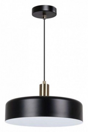 Подвесной светильник Arte Lamp Skat A7152SP-1BK в Сургуте - surgut.ok-mebel.com | фото