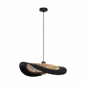 Подвесной светильник Arte Lamp Woodstock A7059SP-1BK в Сургуте - surgut.ok-mebel.com | фото 2