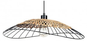 Подвесной светильник Arte Lamp Woodstock A7061SP-1BK в Сургуте - surgut.ok-mebel.com | фото