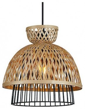 Подвесной светильник Arte Lamp Woodstock A7070SP-1BK в Сургуте - surgut.ok-mebel.com | фото 2