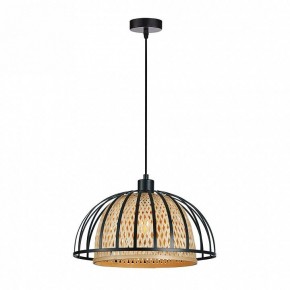Подвесной светильник Arte Lamp Woodstock A7071SP-1BK в Сургуте - surgut.ok-mebel.com | фото