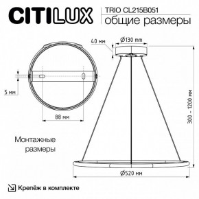 Подвесной светильник Citilux Trio CL215B051 в Сургуте - surgut.ok-mebel.com | фото 8