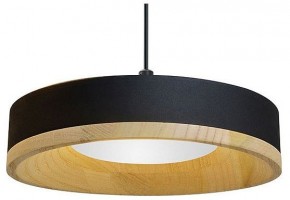 Подвесной светильник Divinare Vaso 5119/06 SP-12 в Сургуте - surgut.ok-mebel.com | фото