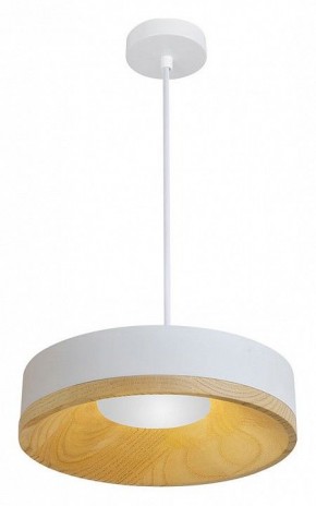 Подвесной светильник Divinare Vaso 5119/33 SP-8 в Сургуте - surgut.ok-mebel.com | фото 2