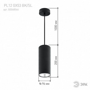 Подвесной светильник Эра  PL12 GX53 BK/SL в Сургуте - surgut.ok-mebel.com | фото 8