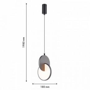 Подвесной светильник F-promo Grahan 4609-1P в Сургуте - surgut.ok-mebel.com | фото 4