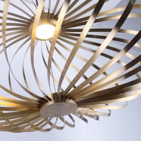 Подвесной светильник Favourite Spring 4680-1P в Сургуте - surgut.ok-mebel.com | фото 5