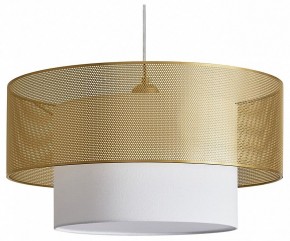 Подвесной светильник Freya Lattice FR5528PL-01BS в Сургуте - surgut.ok-mebel.com | фото