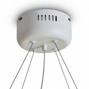 Подвесной светильник Freya Rain FR5546PL-L60W в Сургуте - surgut.ok-mebel.com | фото 9