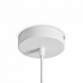 Подвесной светильник Freya Shapes FR5530PL-L10W в Сургуте - surgut.ok-mebel.com | фото 5