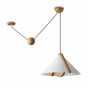 Подвесной светильник Freya Umbra FR5554CL-01T в Сургуте - surgut.ok-mebel.com | фото 2