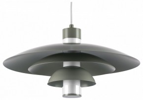 Подвесной светильник Lightstar Erbareo 799019 в Сургуте - surgut.ok-mebel.com | фото