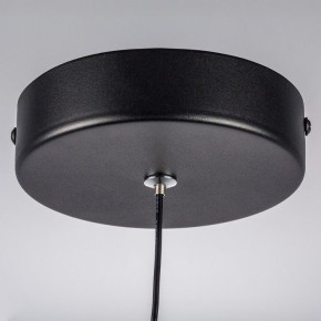 Подвесной светильник Lightstar Saturno 749017 в Сургуте - surgut.ok-mebel.com | фото 12
