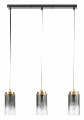 Подвесной светильник Lumion Isha 8101/3A в Сургуте - surgut.ok-mebel.com | фото 6