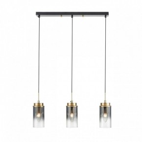 Подвесной светильник Lumion Isha 8101/3A в Сургуте - surgut.ok-mebel.com | фото 7