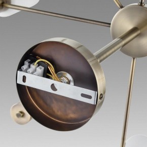 Подвесной светильник Lumion Mave 8100/8C в Сургуте - surgut.ok-mebel.com | фото 6
