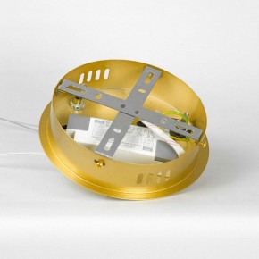 Подвесной светильник Lussole Benton LSP-7339 в Сургуте - surgut.ok-mebel.com | фото 8