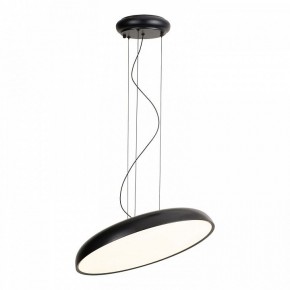Подвесной светильник Lussole Crook LSP-7360 в Сургуте - surgut.ok-mebel.com | фото 2