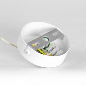 Подвесной светильник Lussole Gregg LSP-8963 в Сургуте - surgut.ok-mebel.com | фото 7