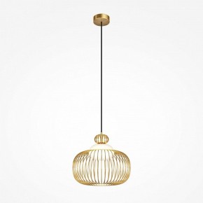 Подвесной светильник Maytoni Levitation MOD376PL-01G в Сургуте - surgut.ok-mebel.com | фото 2