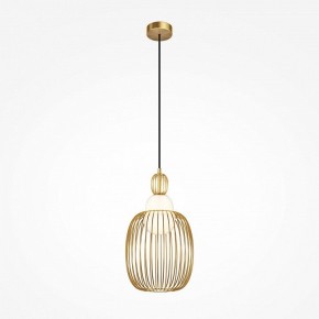 Подвесной светильник Maytoni Levitation MOD376PL-01G1 в Сургуте - surgut.ok-mebel.com | фото 2