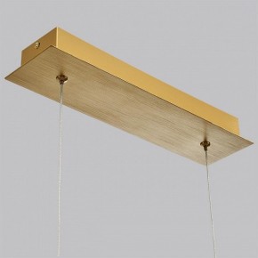Подвесной светильник Odeon Light Beveren 7007/38L в Сургуте - surgut.ok-mebel.com | фото 4