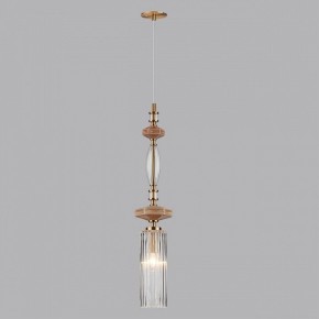 Подвесной светильник Odeon Light Terra 5414/1A в Сургуте - surgut.ok-mebel.com | фото 5