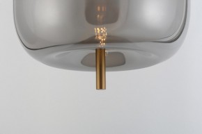 Подвесной светильник Rivoli Claire Б0061905 в Сургуте - surgut.ok-mebel.com | фото 11