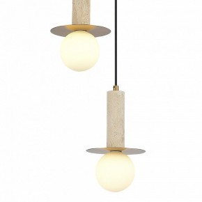 Подвесной светильник ST-Luce Earthy SL1194.303.03 в Сургуте - surgut.ok-mebel.com | фото 4