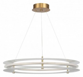 Подвесной светильник ST-Luce FAGY SL6245.203.01 в Сургуте - surgut.ok-mebel.com | фото 3