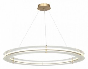 Подвесной светильник ST-Luce FAGY SL6245.213.01 в Сургуте - surgut.ok-mebel.com | фото 4