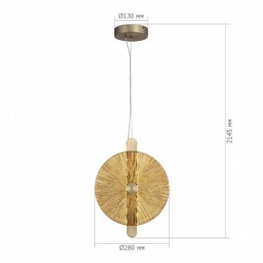Подвесной светильник ST-Luce WASI SL6141.313.01 в Сургуте - surgut.ok-mebel.com | фото 5