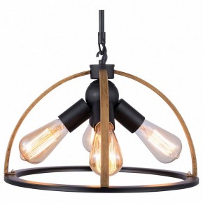 Подвесной светильник TopLight Jasmin TL1179H-04BK в Сургуте - surgut.ok-mebel.com | фото