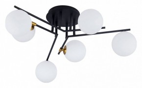 Потолочная люстра Arte Lamp Gemini A2243PL-6BK в Сургуте - surgut.ok-mebel.com | фото