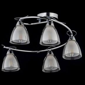 Потолочная люстра Arti Lampadari Paola, Tavenna Nickel Paola E 1.1.5 N в Сургуте - surgut.ok-mebel.com | фото 2