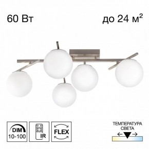 Потолочная люстра Citilux Dorsy CL223151 в Сургуте - surgut.ok-mebel.com | фото 2