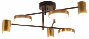 Потолочная люстра Kink Light Рапис 07645-6D,19(20) в Сургуте - surgut.ok-mebel.com | фото