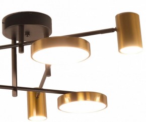 Потолочная люстра Kink Light Рапис 07645-6D,19(20) в Сургуте - surgut.ok-mebel.com | фото 2