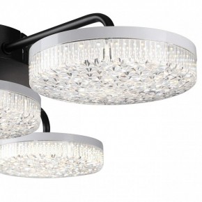 Потолочная люстра Lumion Didana 8236/4CL в Сургуте - surgut.ok-mebel.com | фото 7